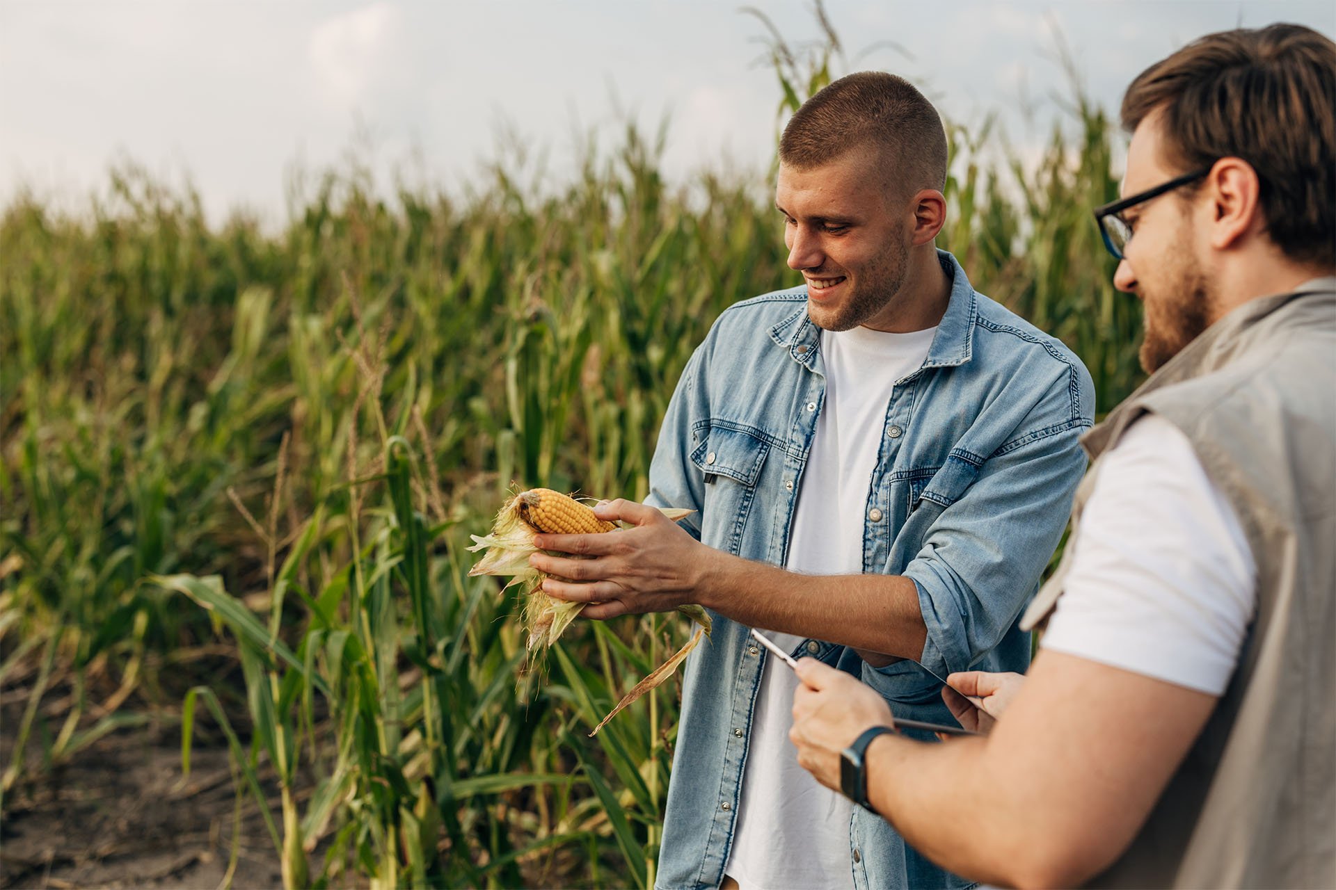 1920-AdobeStock_648429867
